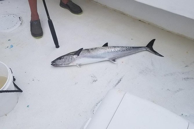Shared Deep Sea Fishing Trip from Destin - What’s Included (and What’s Not) for $169