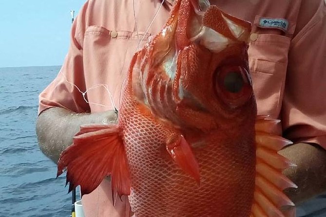 Shared Deep Sea Fishing Trip from Destin - Fishing Results: How to Judge Your Odds of Catching Keepers