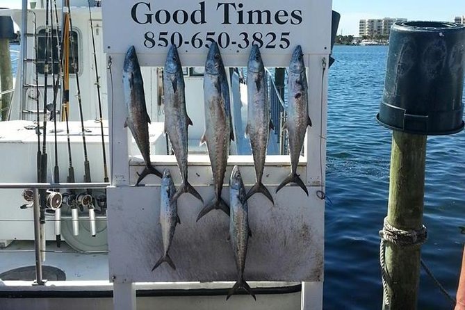 Shared Deep Sea Fishing Trip from Destin - Pelican Adventures Dock and Meeting Point: Where Your Day Starts
