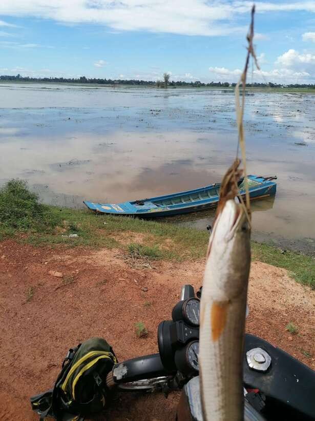 Siem Reap: Fishing in the rice fields, in the villages of Siem Reap - Rice fields time: where adventure meets patience