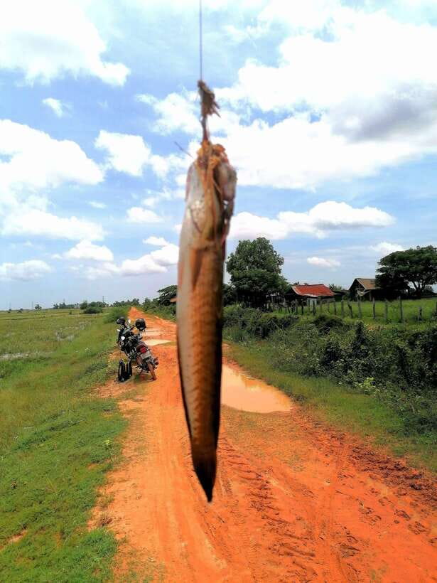 Siem Reap: Fishing in the rice fields, in the villages of Siem Reap - Wild nature safety: mud, animals, and smart packing