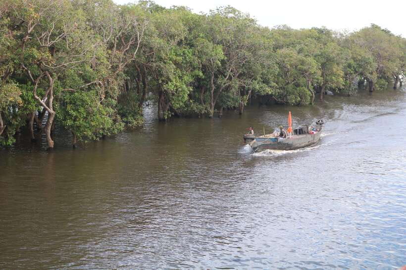 Siem Reap: Tonle Sap Lake - Fishing Village & Flooded Forest - Kampong Phluk by boat: stilt houses and flooded-forest canals