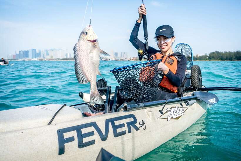 Singapore: 4-hour Kayak Fishing Experience - The Water You’ll See: Marine Life Stories and Real Coastal Singapore
