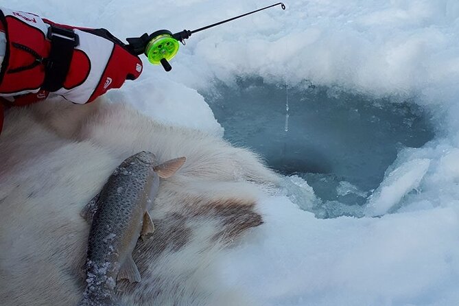 Sjursnes Arctic Ice Fishing Adventure from Tromso - The scenic fjord-and-mountain drive to a hidden valley