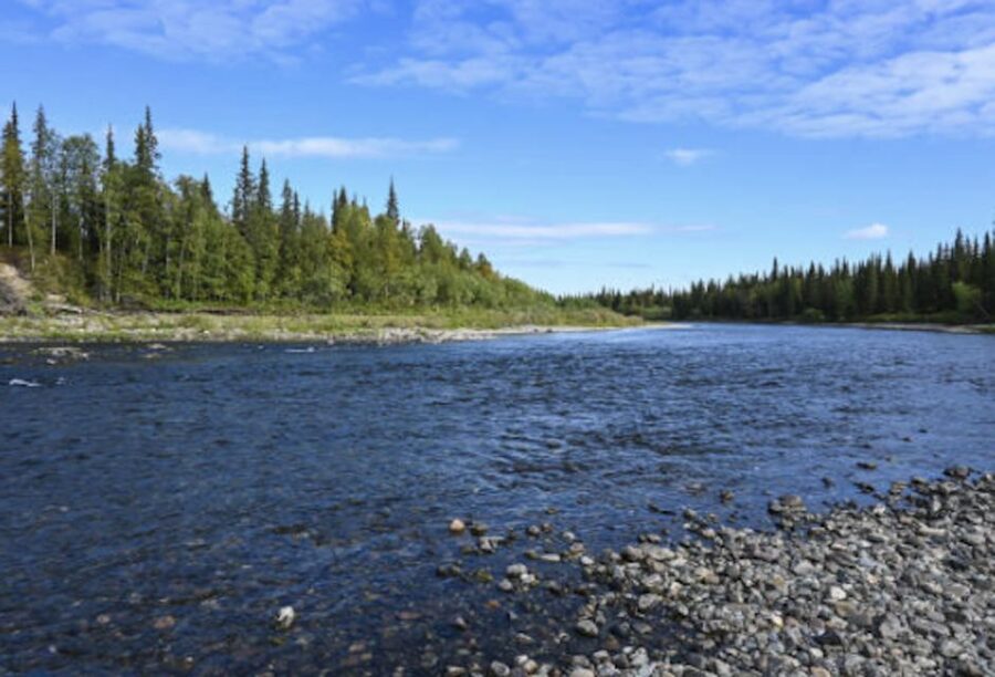 Snake River Full–Day Group Fishing Trip - A Full Day of Snake River Trout Water Outside Jackson