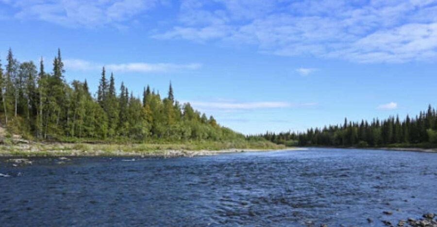Snake River Full–Day Group Fishing Trip - Price and Value: $1,200 for Up to Five People