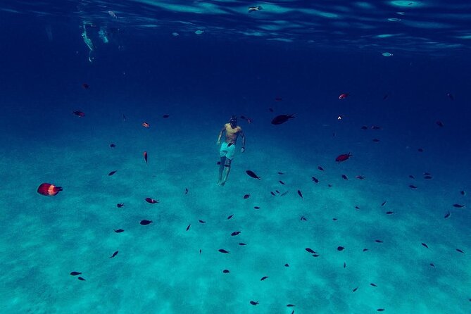 Snorkeling and Diving in the Gulf of Tavolara with Fishing - Snorkeling Gear and What You Should Bring