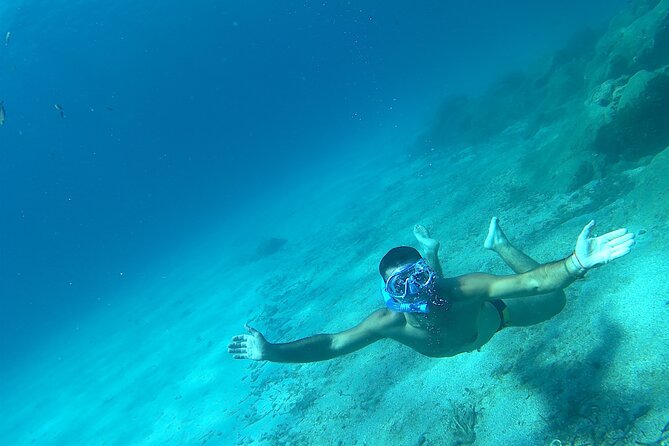 Snorkeling and Diving in the Gulf of Tavolara with Fishing - Price and Value: Is $154.88 Reasonable?