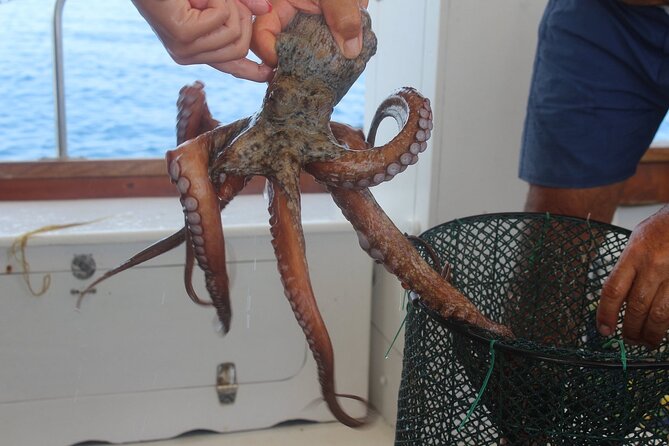 Snorkeling and Diving in the Gulf of Tavolara with Fishing - Fishing Demo With a Real Local Crew