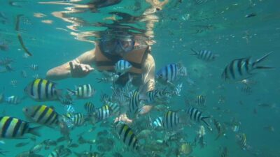 Snorkeling Kayaking Fishing Swimming Activities - Pickup in Bintan Island or Tanjung Pinang: Boat First, Travel Second