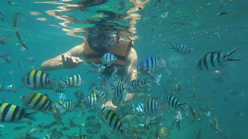 Snorkeling Kayaking Fishing Swimming Activities - Offshore Fishing: Gear Included, Fun Without the Headache
