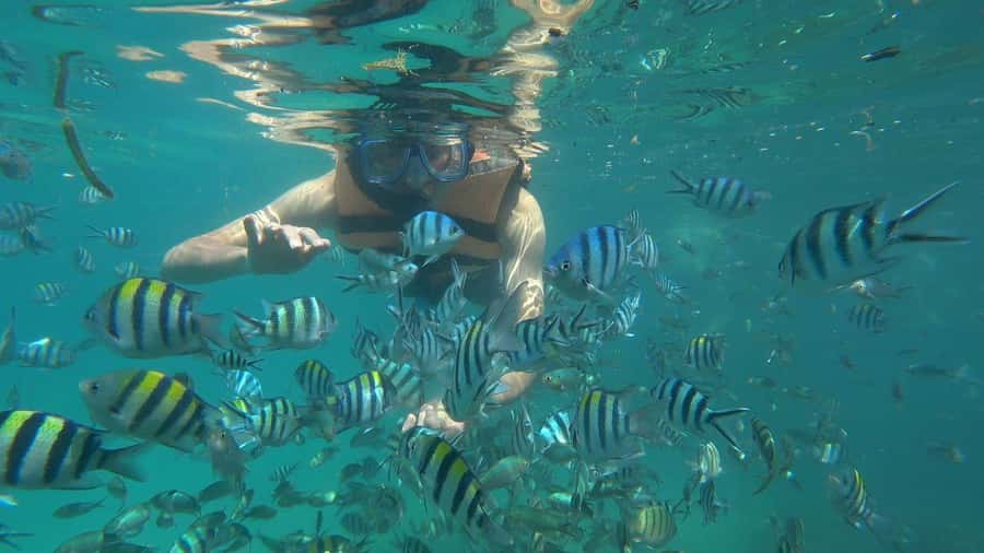Snorkeling Kayaking Fishing Swimming Activities - Pickup in Bintan Island or Tanjung Pinang: Boat First, Travel Second
