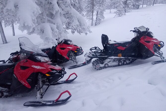 Snowmobile and Ice Fishing Excursion (private tour) - The snowmobile ride: frozen river first, then the snowy forest