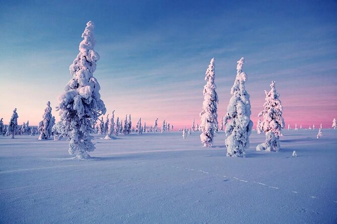 Snowmobile and Ice Fishing Experience - Ice fishing on frozen water: drilling the hole is the main event