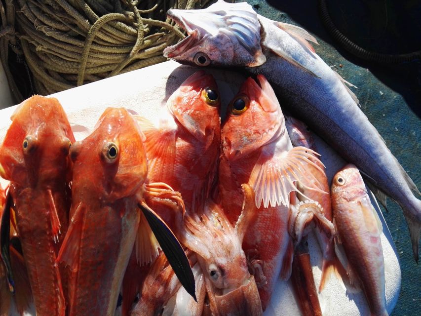 Sorrento: Sea-Fishing Tour with Lunch Onboard - Lunch on the Boat: Catch of the Day, Campania Flavors, and Easy Fuel
