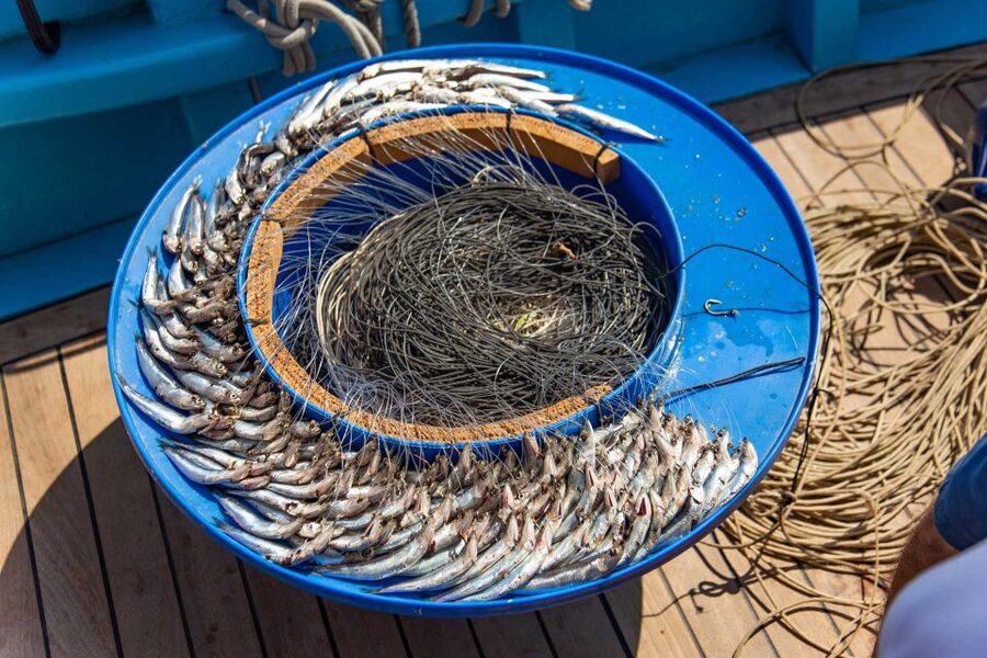 Sorrento: Sea-Fishing Tour with Lunch Onboard - Getting on Board: 7:30am Pickup and the First Leg to Marina Grande