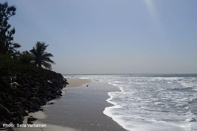South Gambia Tour - Fishing village and Paradise Beach - Key highlights to look for