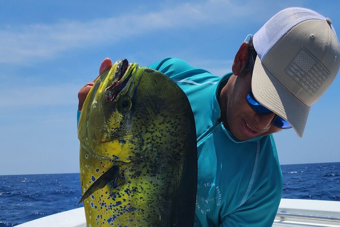 Sport Fishing in Tulum - The Fish Targets: What You Could Catch in Season
