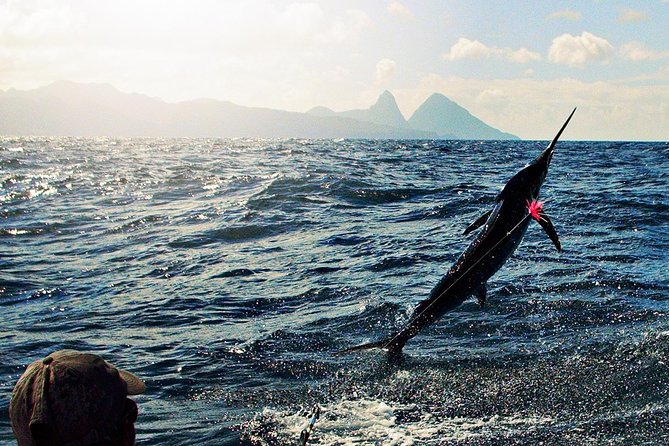 St Lucia Sport Fishing Tour - First: What This St Lucia Sport Fishing Trip Is Really About