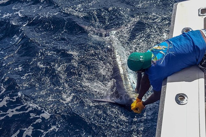 St Lucia Sport Fishing Tour - On the Water: “Local Secret Spots” and How the Fishing Actually Feels