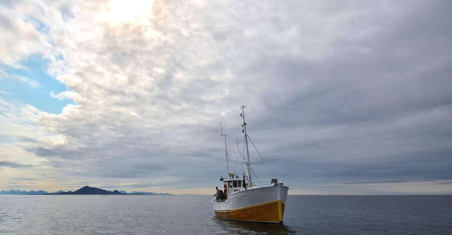 Svolvær: Fishing Trip on the Lofoten Sea - Key highlights worth planning for
