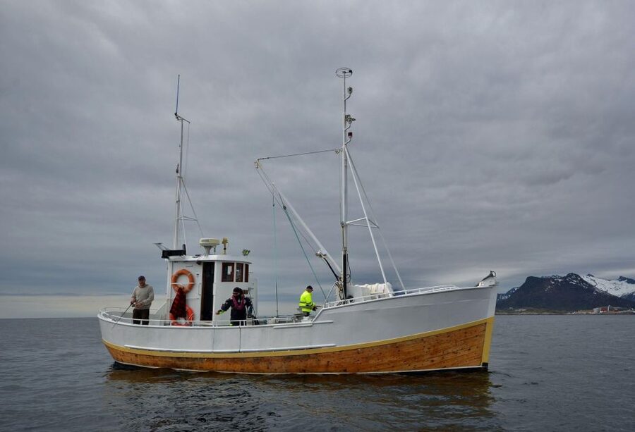 Svolvær: Fishing Trip on the Lofoten Sea - From Torget to the Lofoten Sea: what the 3-hour trip feels like