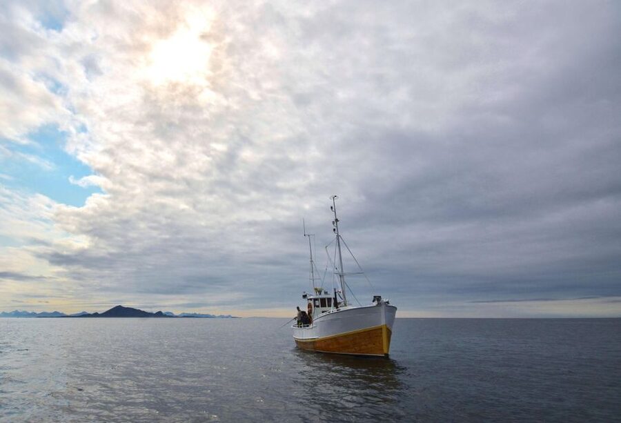 Svolvær: Fishing Trip on the Lofoten Sea - Safety first, then fishing: gear, briefing, and how you learn fast