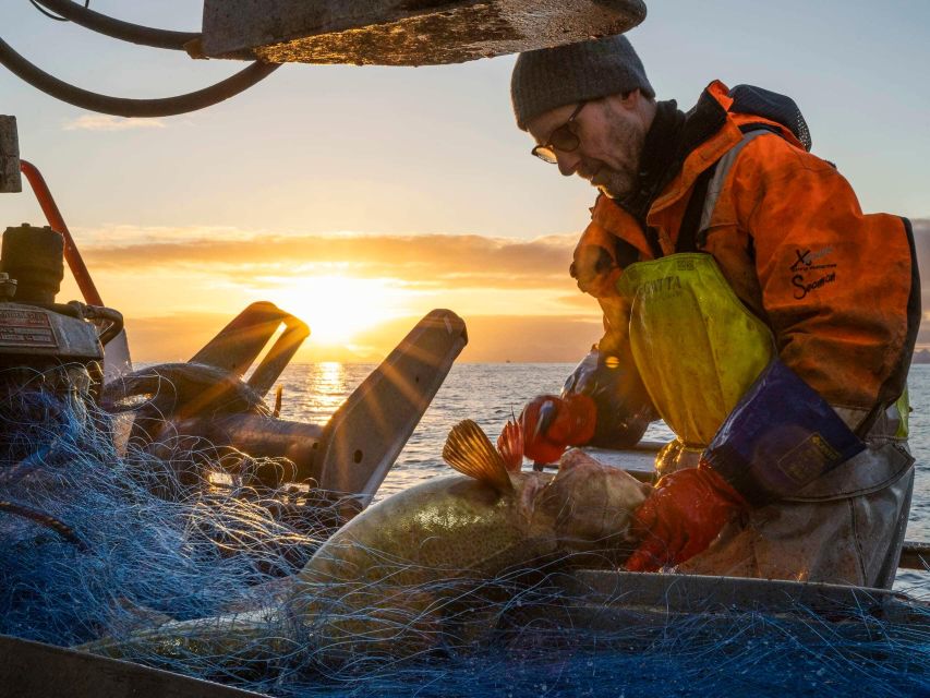 Svolvær: Fishing Trip on the Lofoten Sea - Price and value: is $107 per person worth it?