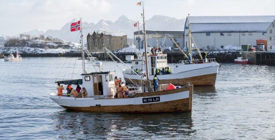 Svolvær: Fishing Trip on the Lofoten Sea - MS Luna and the small-group advantage (12 people, enough rods)