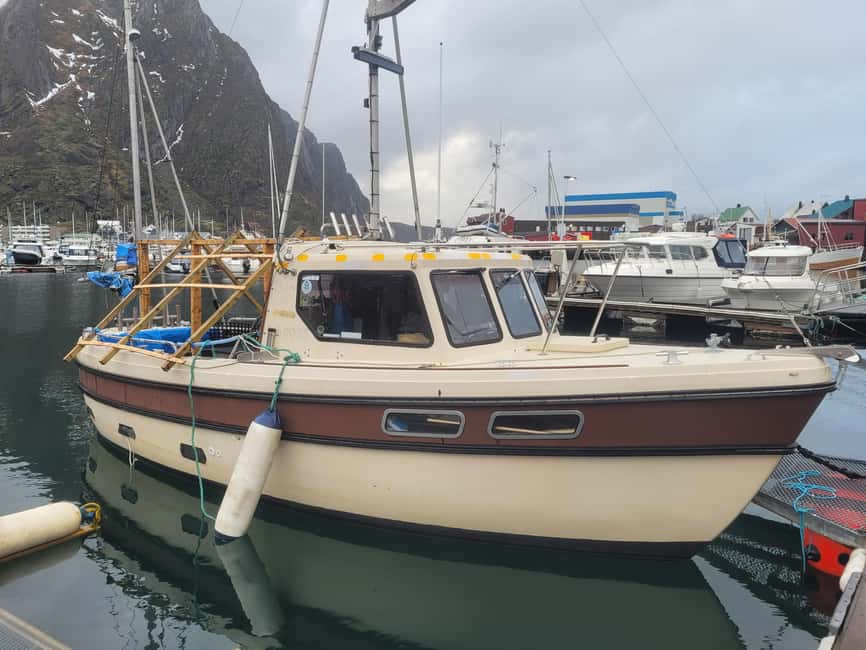 Svolvaer: Fishing Trips with a personal touch - Svolvær Fishing in 4 Hours: what this really feels like