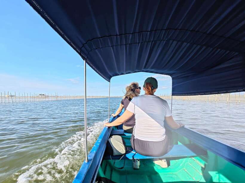 Tam Giang Lagoon & Boat Day Trip with Fishing Experience - Hands-on fishing play: Rowing, net casting, and stomping