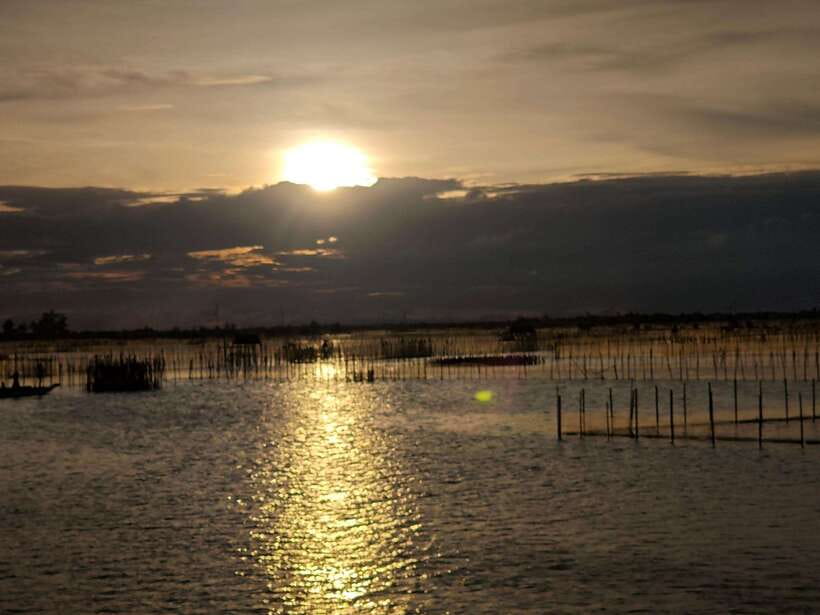 Tam Giang Lagoon & Boat Day Trip with Fishing Experience - Lagoon restaurant dinner: The Kinh fish pancake is the real reason to go