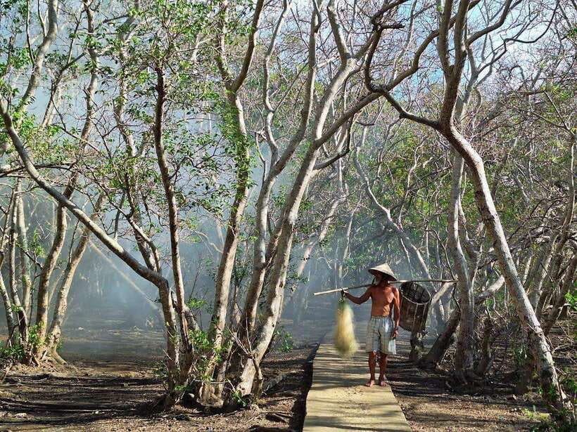 Tam Giang Lagoon & Boat Day Trip with Fishing Experience - Price and value: Why $15 can feel like a bargain
