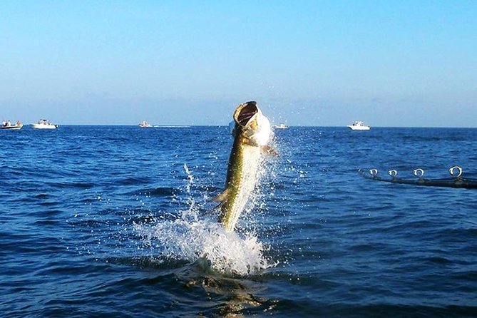 Tampa Bay Inshore Fishing Charters - Price and value: $715.99 per group, up to 2 people