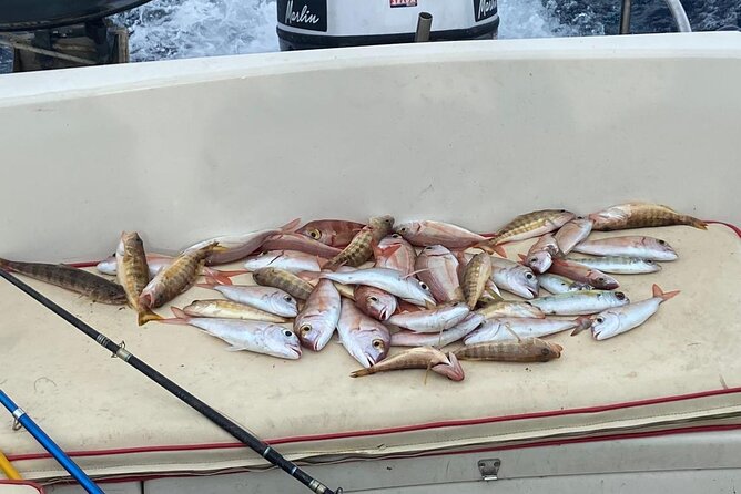 Traditional Fishing Experience in Zakynthos - Timing and duration: Why the morning may feel shorter (and why that’s okay)