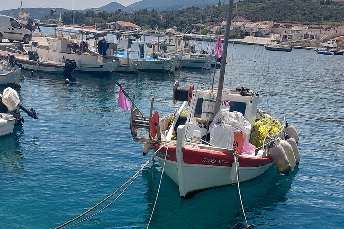 Traditional Fishing Experience in Zakynthos - Value for $120.51: What you’re really paying for