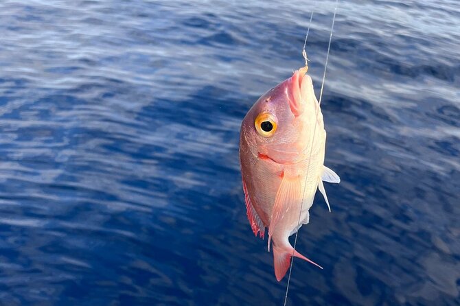 Traditional Fishing Experience in Zakynthos - Tsilivi Speed Boat + Captain Help: How the day kicks off
