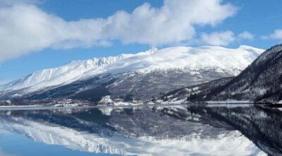 Tromsø: Arctic Fjord Cruise & Fishing Experience - Wildlife Spotting: Why a Guide Changes Everything