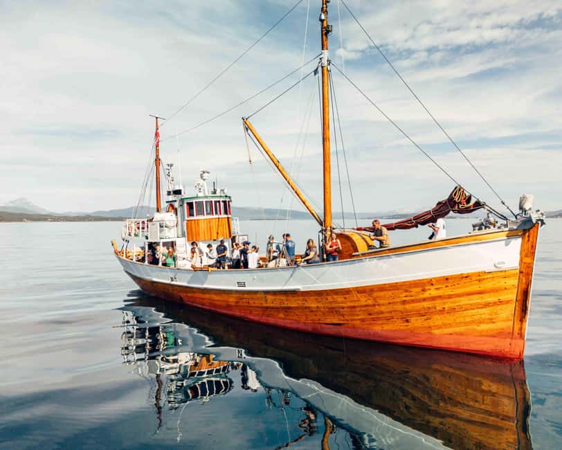 Tromsø: Fishing & Fjord Cruise - The 270-minute flow: how the trip stays fun even when the fish are shy