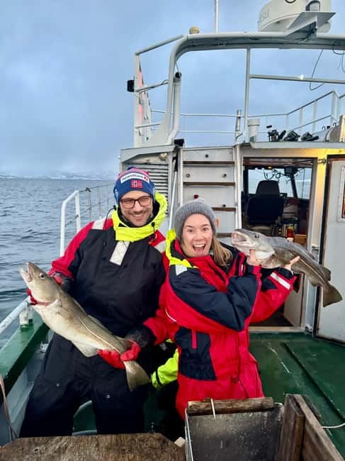 Tromsø: Fishing Sea Safari - Key Highlights You’ll Feel on the Day