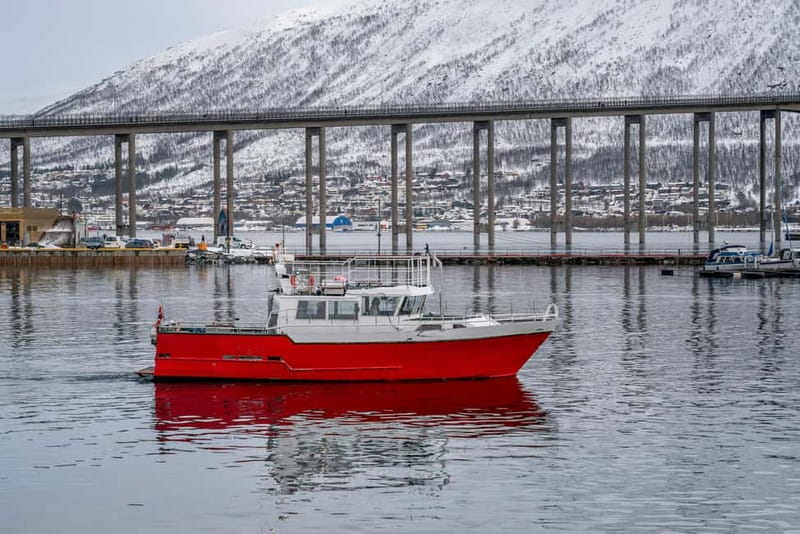 Tromsø: Fishing Sea Safari - Storgata 88 to the Sea: Getting Set Up Fast