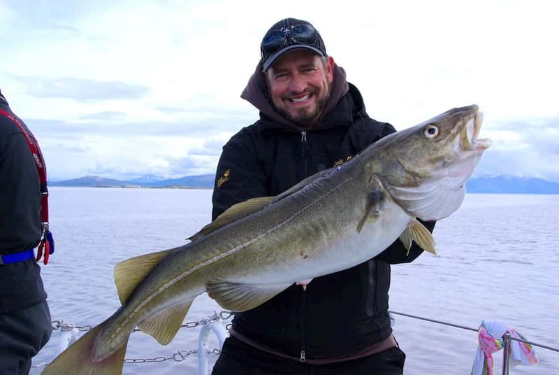 Tromsø: Fishing Sea Safari - My Bottom Line: Should You Book It?