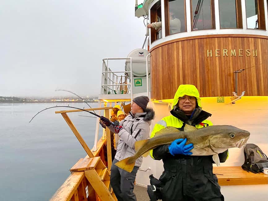 Tromsø: Fjord Fishing Cruise - Fjord views between stops: what you’ll see on the water