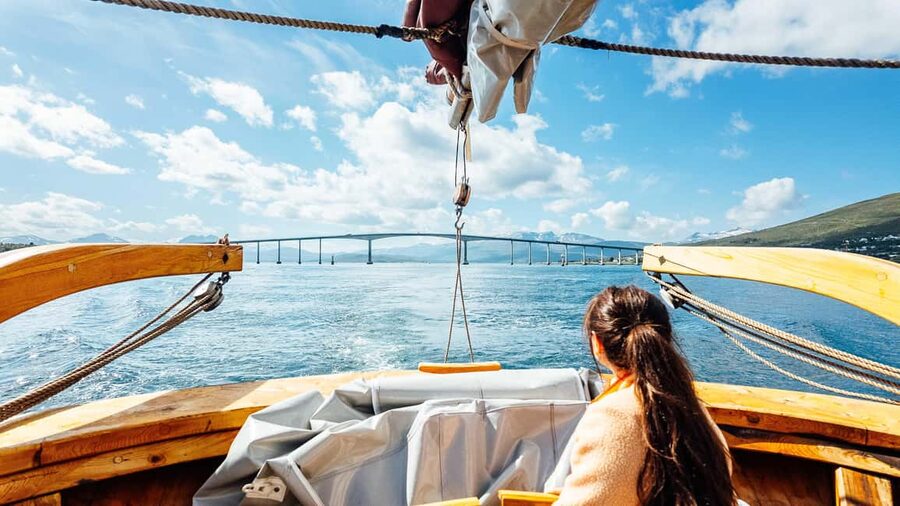 Tromsø: Fjord Fishing Cruise - Fishing success odds: rods, patience, and tips that help on day one