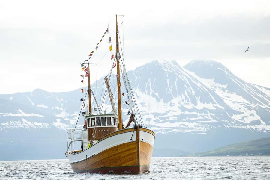 Tromsø: Fjord Fishing Cruise - Who should book this Tromsø fjord fishing cruise