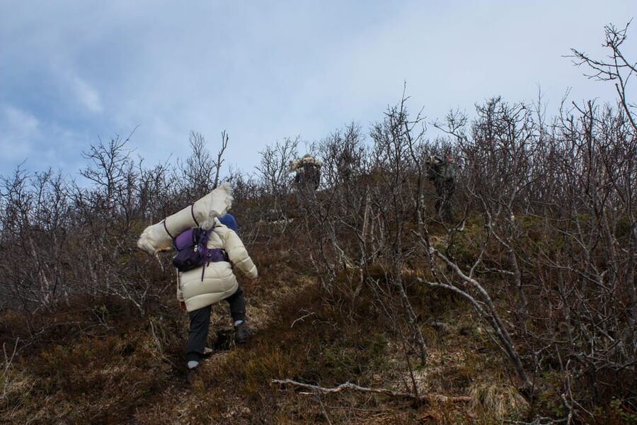 Tromsø: Ice Fishing and Snowshoe Hiking with a Local Guide - Key points I’d plan around
