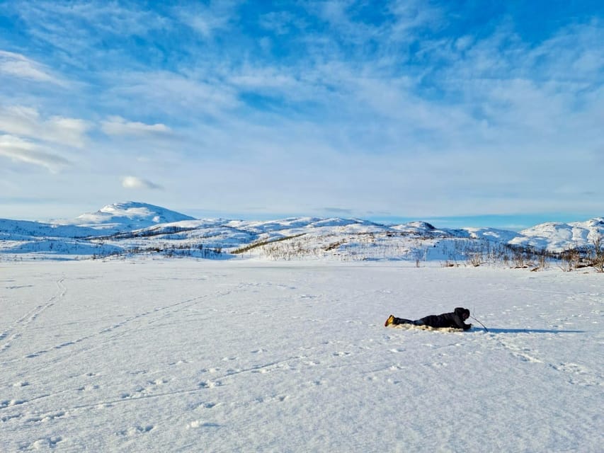Tromsø: Ice Fishing and Snowshoe Hiking with a Local Guide - The Return Walk: Finishing Strong and Spotting Arctic Wildlife