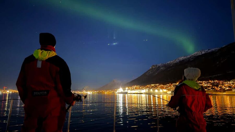 Tromsø: Nocturnal cod fishing with meal. - Weather, Northern Lights, and Catch Expectations: The Honest Reality Check