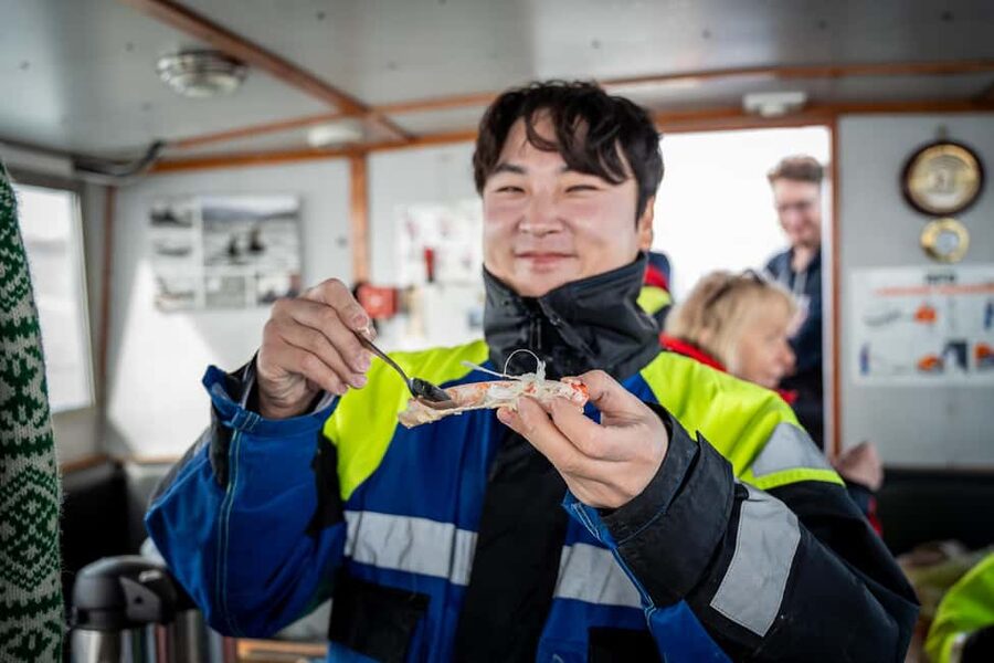 Tromsø: Nocturnal cod fishing with meal. - Price and Value: Is $207 Worth It?
