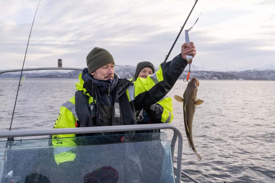 Tromsø: Private Fishing Tour - Why this Tromsø private fishing tour feels practical and special